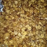 مغز گردوی تازه با قیمت متفاوت