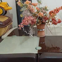 میز ناهار خوردی|میز و صندلی غذاخوری|اشتهارد, |دیوار