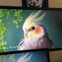 مانیتور گیمینگ 27.50 اینچ برد hp زیر قیمت بازار|قطعات و لوازم جانبی رایانه|بندرعباس, |دیوار