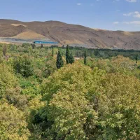 زمین-350-متر-2-کله-عرض-12-متر-معالی-آباد