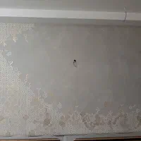 میکروسمنت پتینه