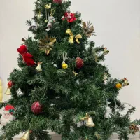 درخت کریسمس|گل مصنوعی|فردیس, فردیس|دیوار