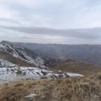 فروش فوری یک تن کاه