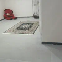 موکت پالاز  تمیز