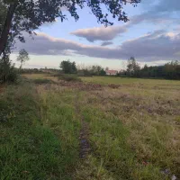 فروش زمین باغی|فروش زمین و ملک کلنگی|فومن, |دیوار