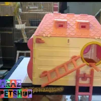 دنیای پرندگان آراز