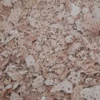 ضایعات نون خشک