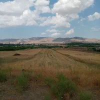 زمین کشاورزی با آب دیزج آباد