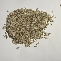 برنج|خوردنی و آشامیدنی|رودسر, |دیوار