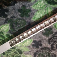 3عدد قالب شیرینی