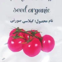 معجزه ای در کاشت گوجه|عمده‌فروشی|شیراز, کوی زهرا|دیوار