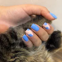 به مدت یک ماه فقط هزینه مواد رو پرداخت کن