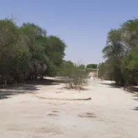 استخدام سرایدار برازجان
