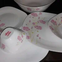آرکوپال دینو