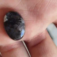 شجر سیاه خراسان|زیورآلات و اکسسوری|یزد, |دیوار