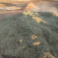 یونجه