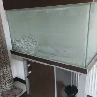 آکواریوم