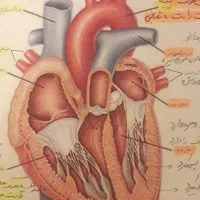 تدریس گروهی وخصوصی زیست وشیمی باکمترین هزینه