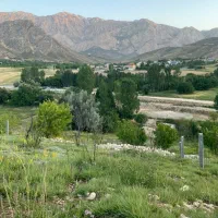 زمین کشاورزی در منطقه صمصامی