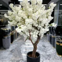 درختچه شکوفه ایی ،نیمکت،سنگ قلوه ـ مبلمان عمارت