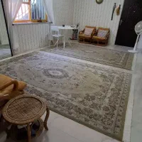 جفت فرش شش ۶ متری نگین مشهد|فرش|خشکبیجار, |دیوار