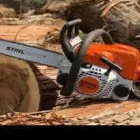 فروش خریدچوب و درخت فیمت روز و نقد