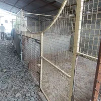 ۴۰۰مترویلاباغ سندتک برگ محدوده جنگلی ارزنده وبرند|فروش خانه و ویلا|فریدون‌کنار, |دیوار