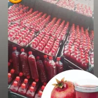 آب انار ساوه عمده و تکی