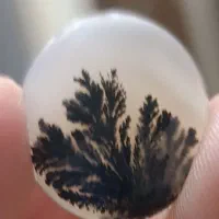 سنگ شجر طبیعی|کلکسیون اشیاء عتیقه|کرمانشاه, |دیوار