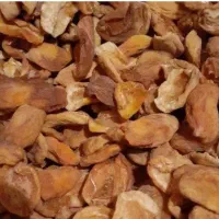 زردآلو خشک خانگی خواهان پیام دهید