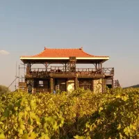 آلاچیق،آبنما،کلبه،میز و صندلی،آبشار