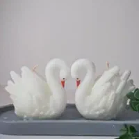 کلکسیون(قو های زیبا)