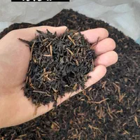 مرکز فروش انواع چای کافه و چایخانه ها