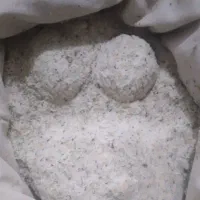 گزانگبین گون کوهی