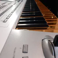 کیبورد|پیانو، کیبورد، آکاردئون|اردبیل, |دیوار