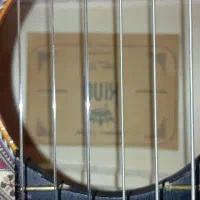 گیتار نو|گیتار، بیس، امپلیفایر|جهرم, |دیوار