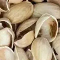 فروش تناژ پوست خشک بادم درختی..گردو..|عمدهفروشی|دامغان, |دیوار