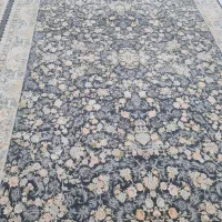 فرش ۱۲۰۰ شانه کاشان|فرش|گنبد کاووس, |دیوار