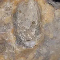 سنگ تازه پیداکردم باتراشه های مثل  دوروبرش