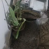 کرکره برقی|ابزارآلات|بروجرد, |دیوار