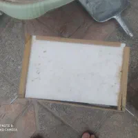 لانه پرنده|لوازم جانبی حیوانات|یزد, |دیوار