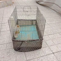 قفس پرنده|لوازم جانبی حیوانات|فردیس, منظریه|دیوار