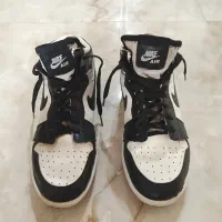 کفش نایک شناسنامه دار