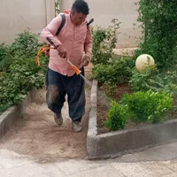 باغبانی سم پاشی درختان در تمام نقاط شهر