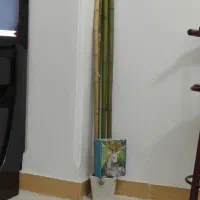 همخونه