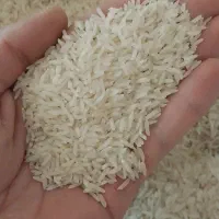 برنج قره قیه|خوردنی و آشامیدنی|پارس‌آباد, |دیوار