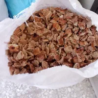 نون خشک ترتمیز