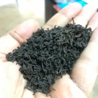 چای اصیل لاهیجان