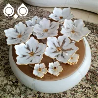 قبول  سفارشات کارهای رزینی