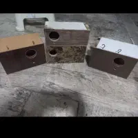 لونه عروس و مرغ عشق